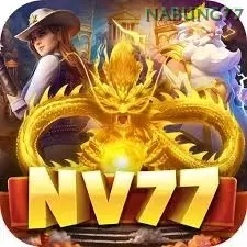Nv77